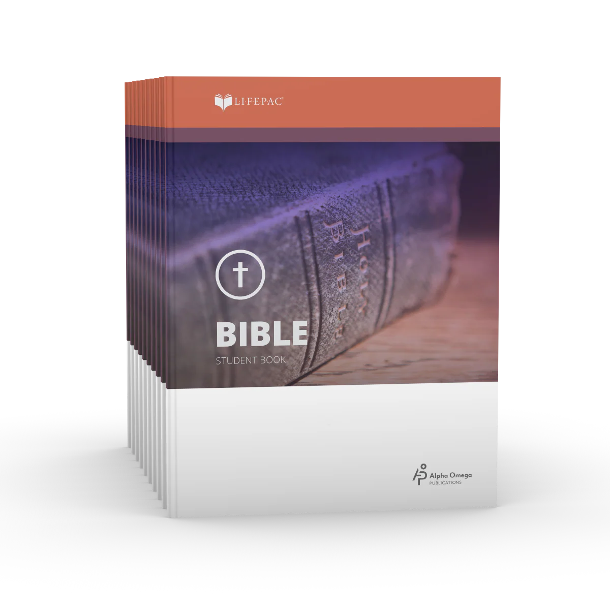 New Testament Survey Student Grade Set