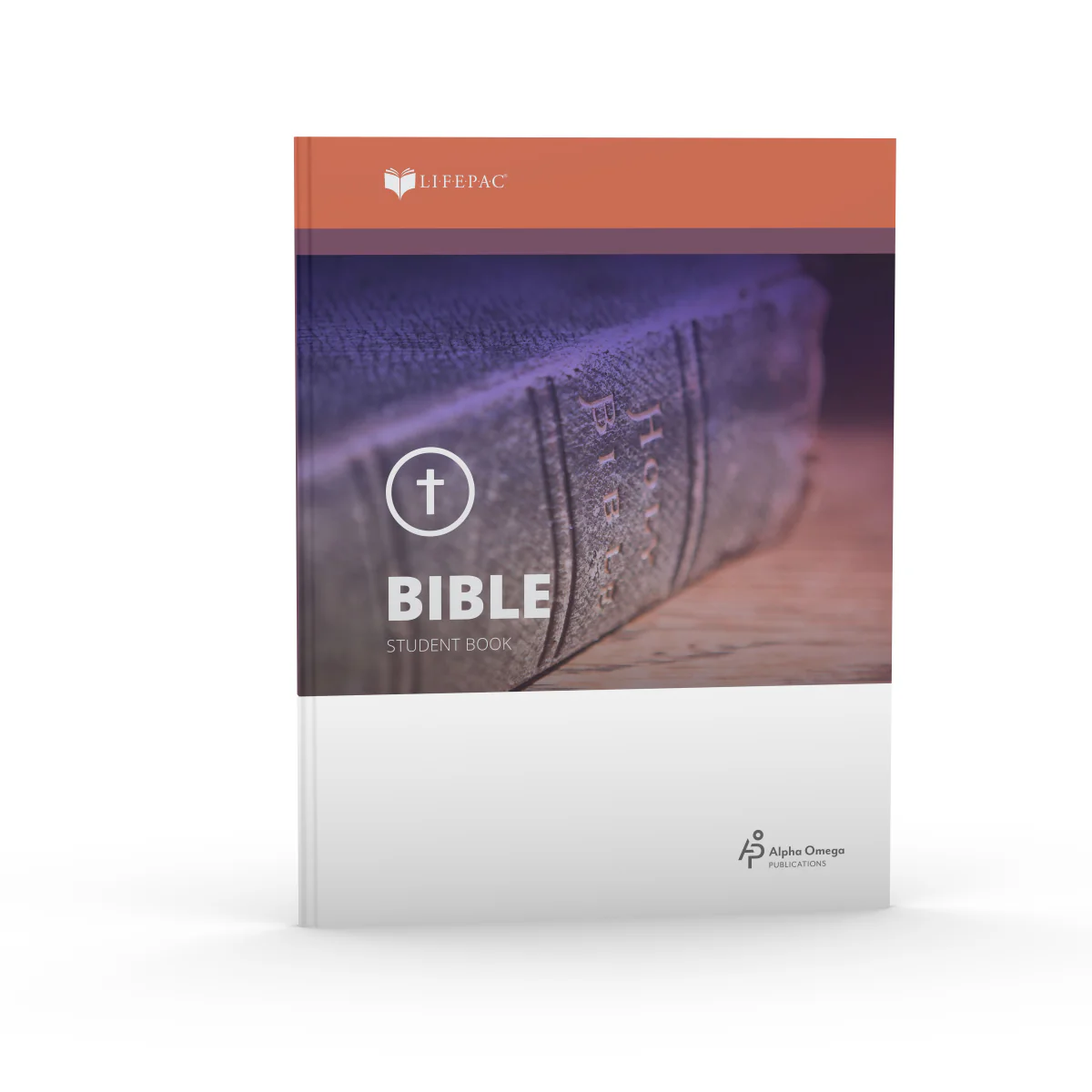 Old Testament Survey Teacher's Guide